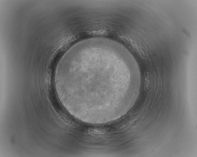 X0000115660739200912101051