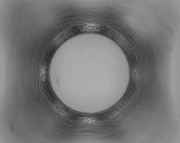 X0000115660741200912101051