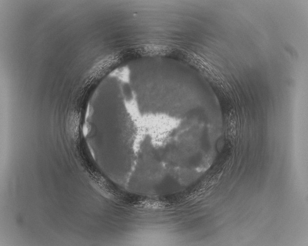 X0000115660742200912101051