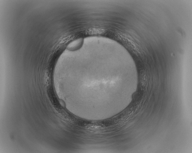 X0000115660743200912101051