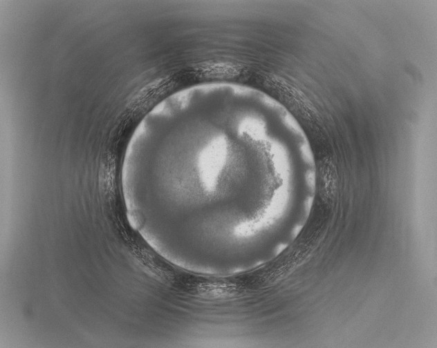 X0000115660745200912101051