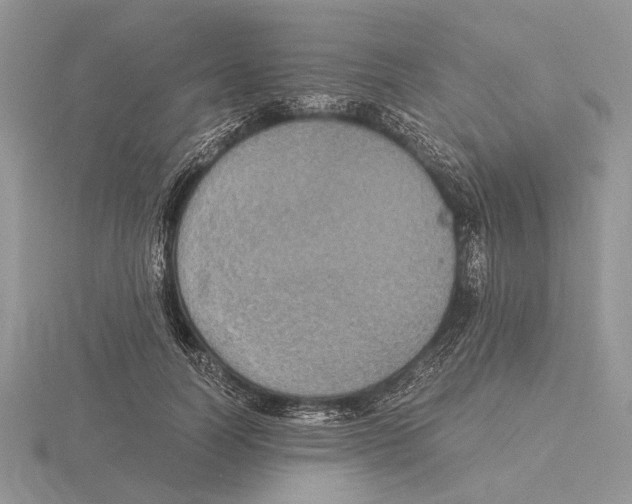 X0000115660746200912101051