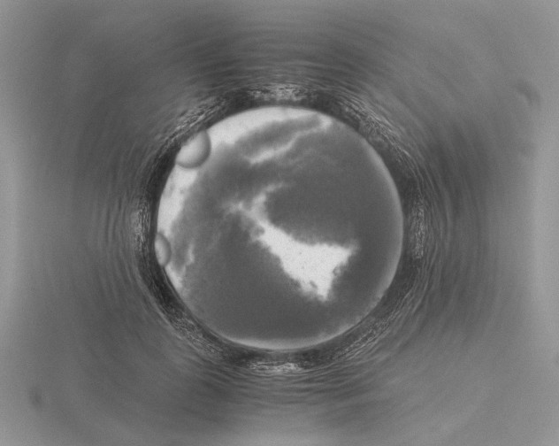 X0000115660747200912101051