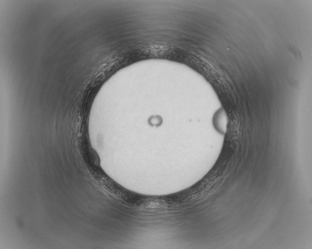 X0000115660750200912101051