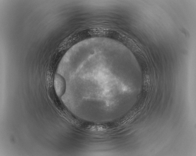 X0000115660751200912101051