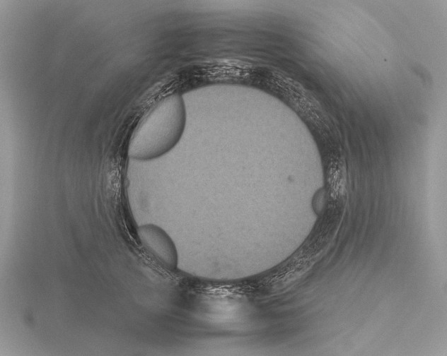 X0000115660753200912101051