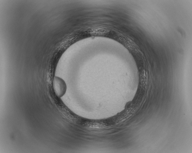 X0000115660755200912101051