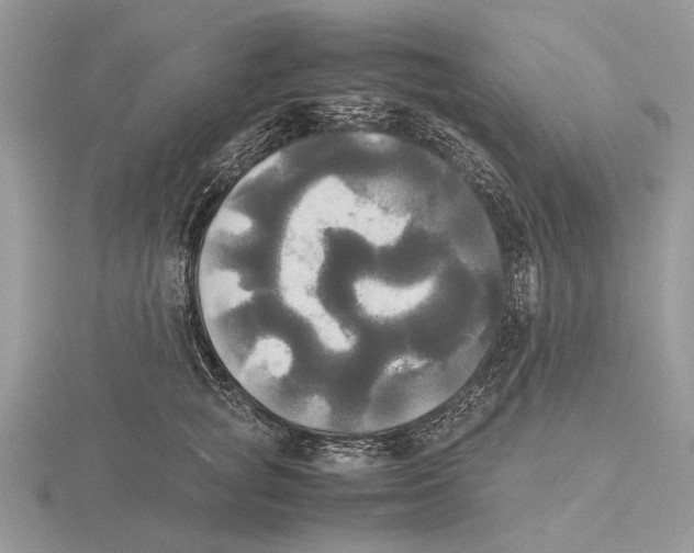 X0000115660757200912101051