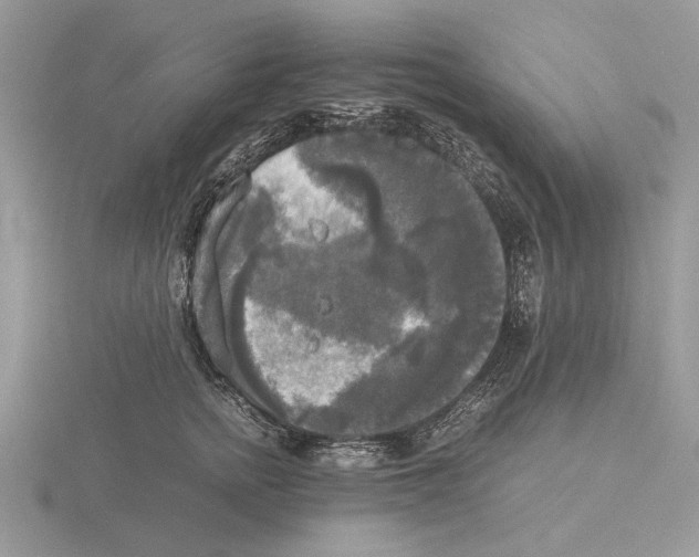 X0000115660758200912101051