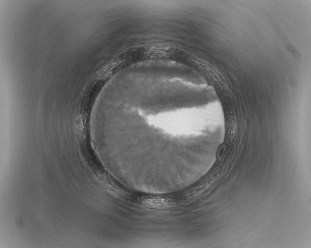 X0000115660759200912101051