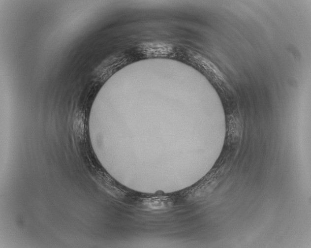 X0000115660761200912101051