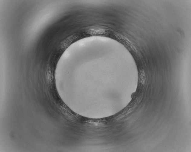 X0000115660763200912101051