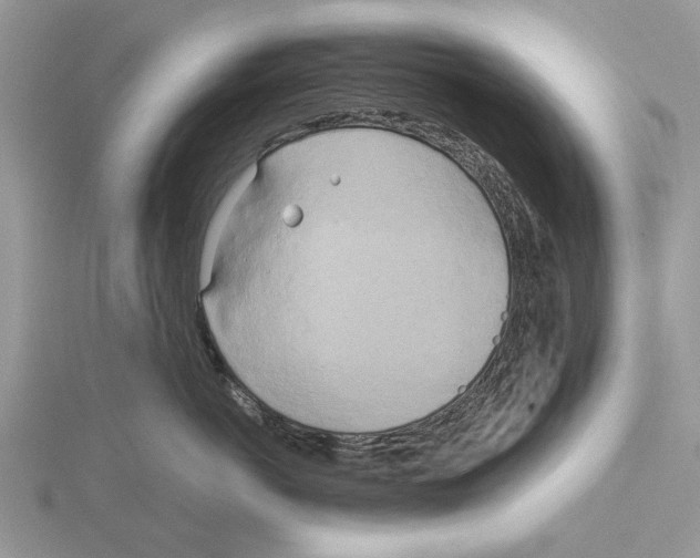 X0000115660766200912101051