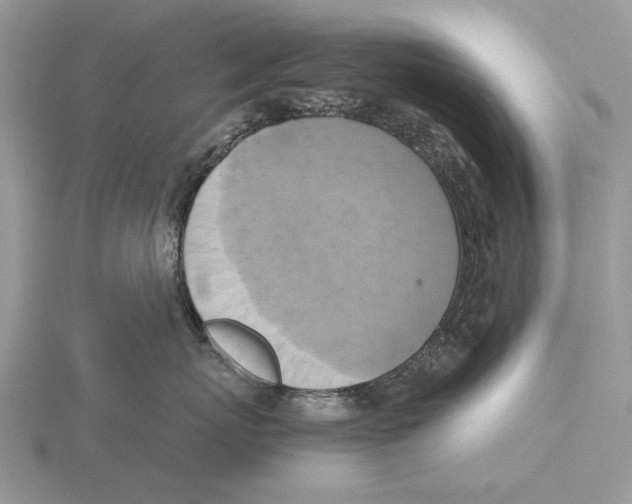 X0000115660767200912101051