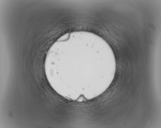 X0000115660769200912101051