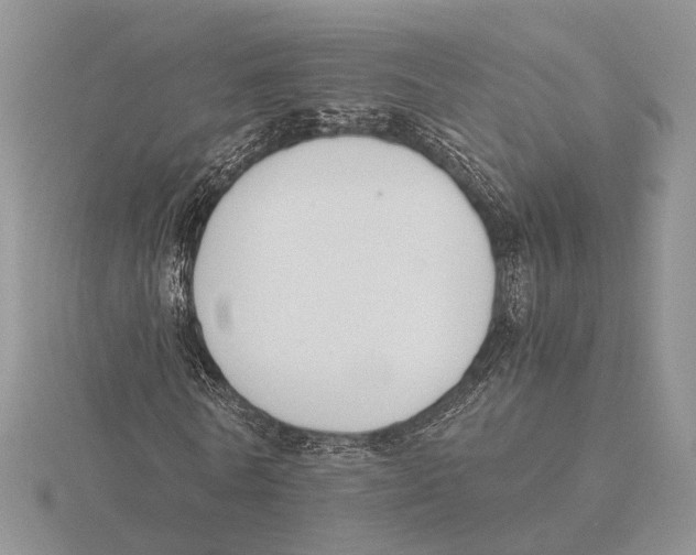 X0000115660770200912101051