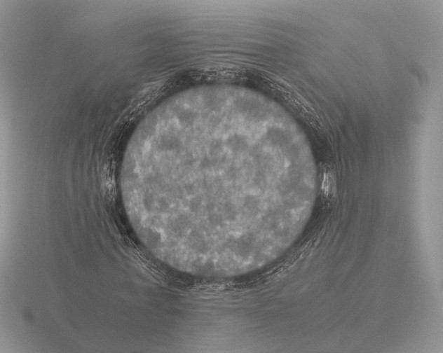 X0000115660771200912101051