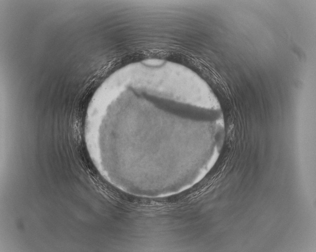 X0000115660772200912101051