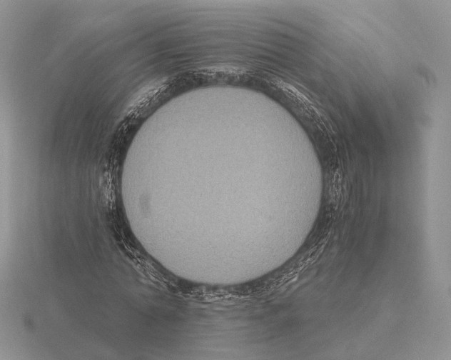 X0000115660774200912101051