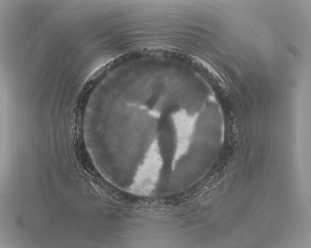 X0000115660775200912101051