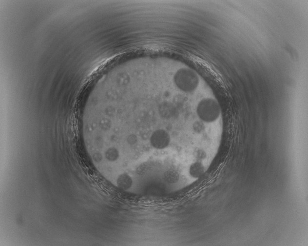 X0000115660776200912101051