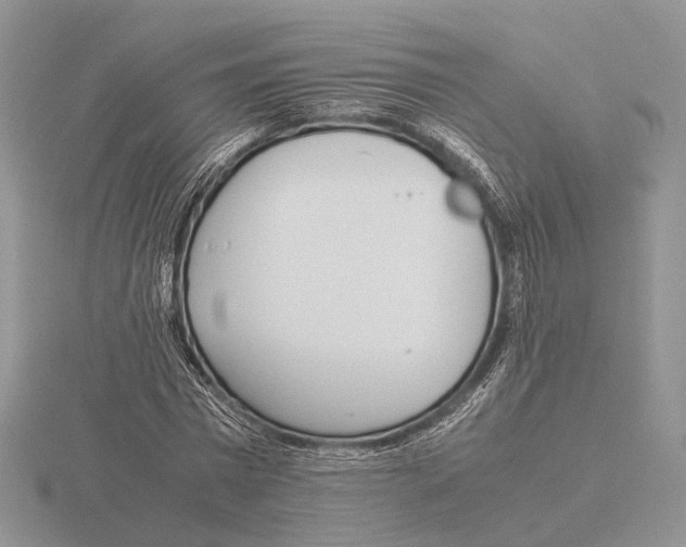 X0000115660777200912101051