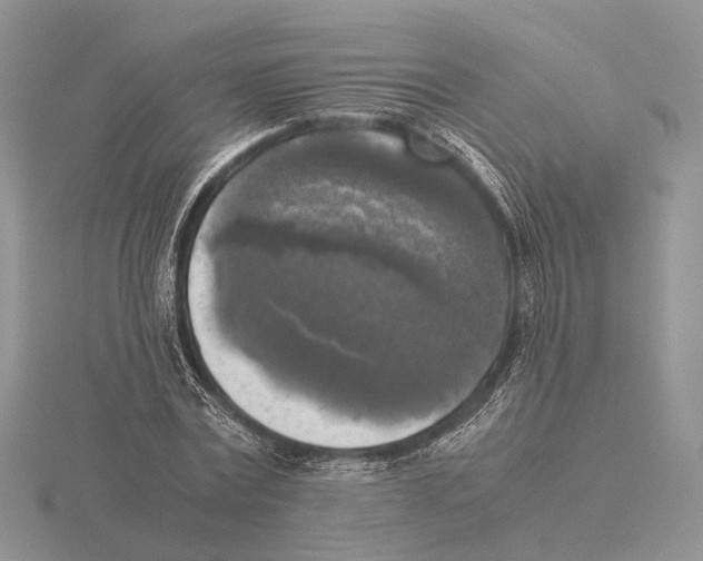 X0000115660779200912101051