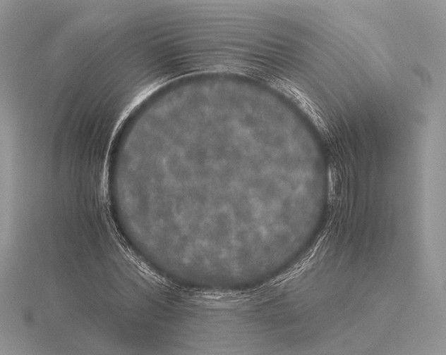 X0000115660780200912101051