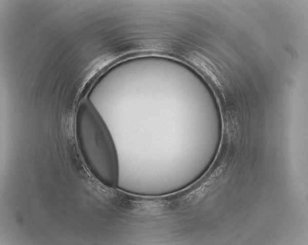 X0000115660781200912101051