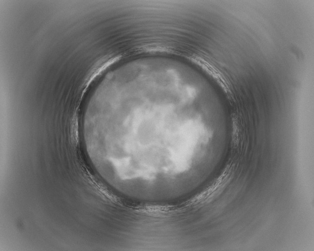 X0000115660782200912101051