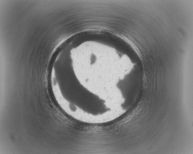 X0000115660783200912101051