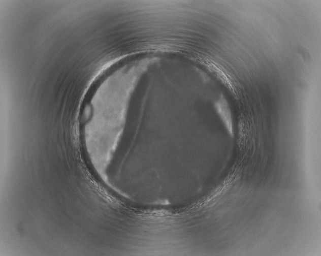 X0000115660784200912101051