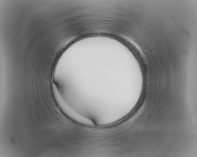 X0000115660785200912101050