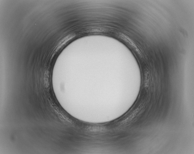 X0000115660786200912101050