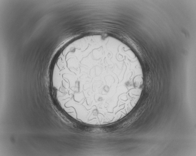 X0000115660787200912101050