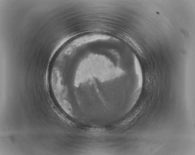 X0000115660788200912101050