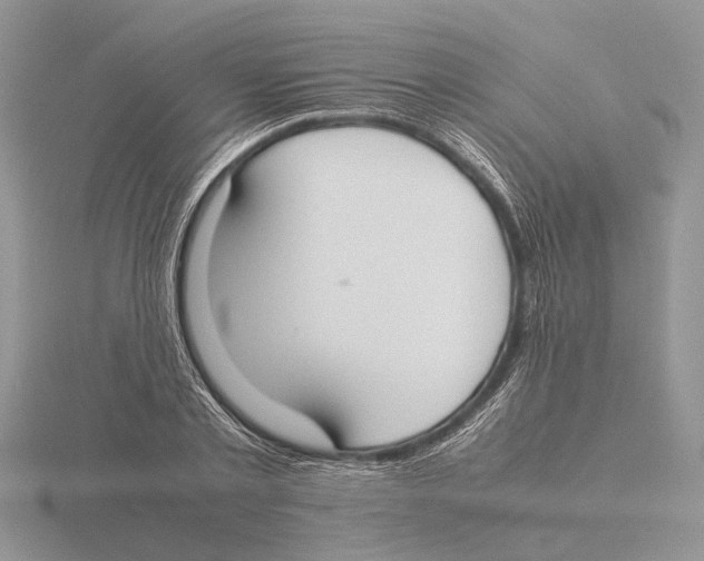 X0000115660789200912101050