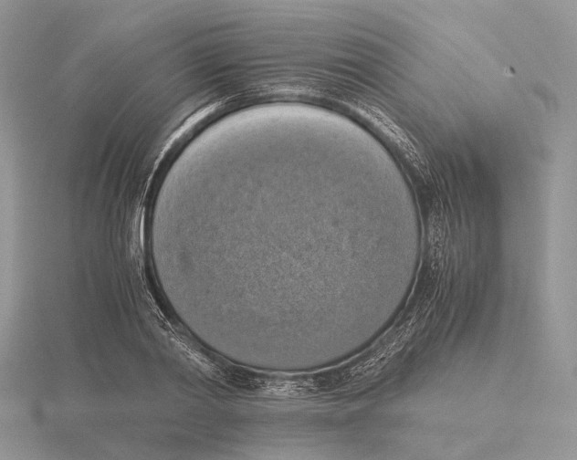 X0000115660790200912101050