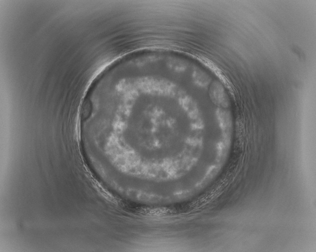 X0000115660791200912101050