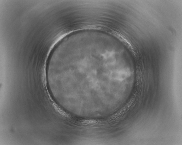 X0000115660792200912101050