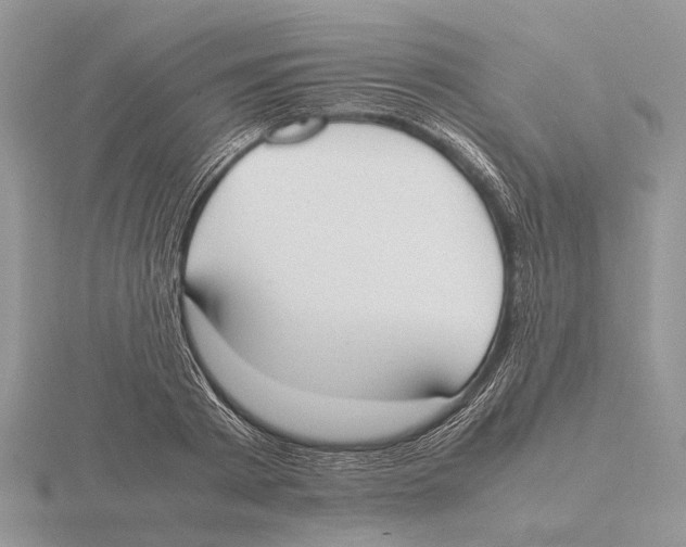 X0000115660793200912101050