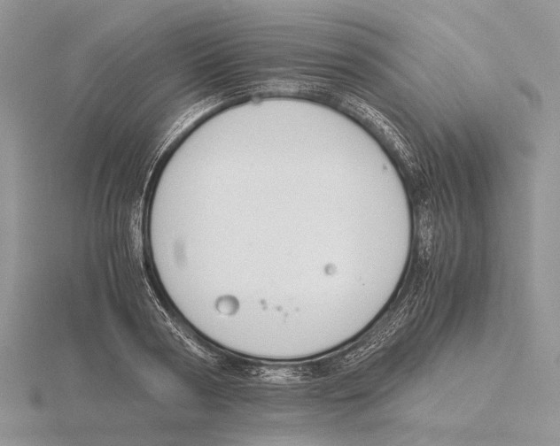 X0000115660794200912101050