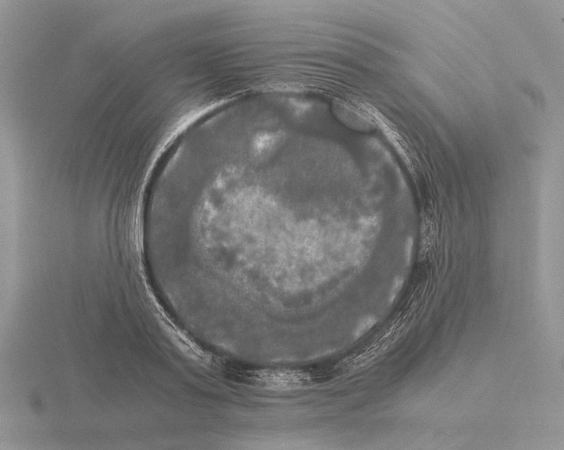 X0000115660795200912101050