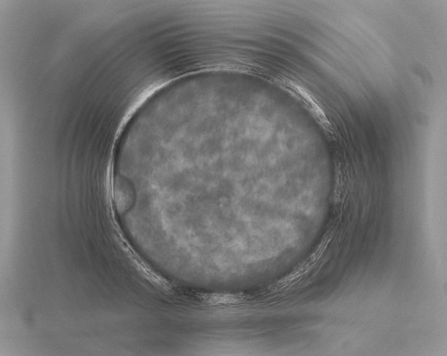 X0000115660796200912101050