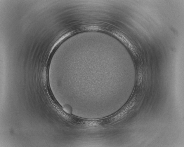 X0000115660798200912101050