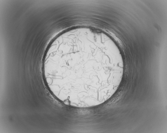 X0000115660799200912101050