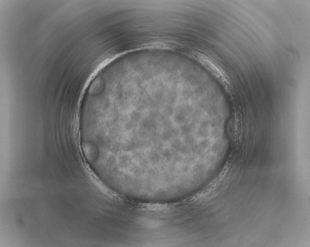 X0000115660800200912101050