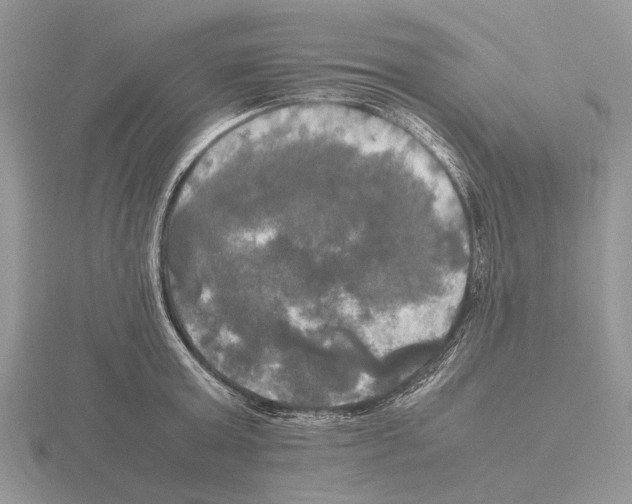 X0000115660803200912101050