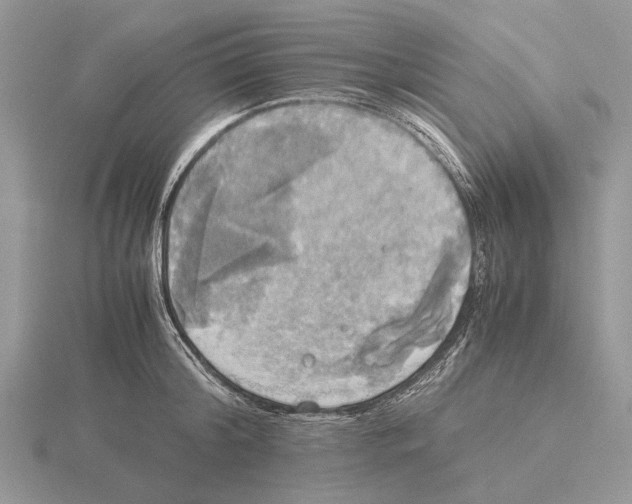 X0000115660804200912101050