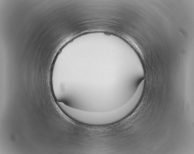 X0000115660805200912101050